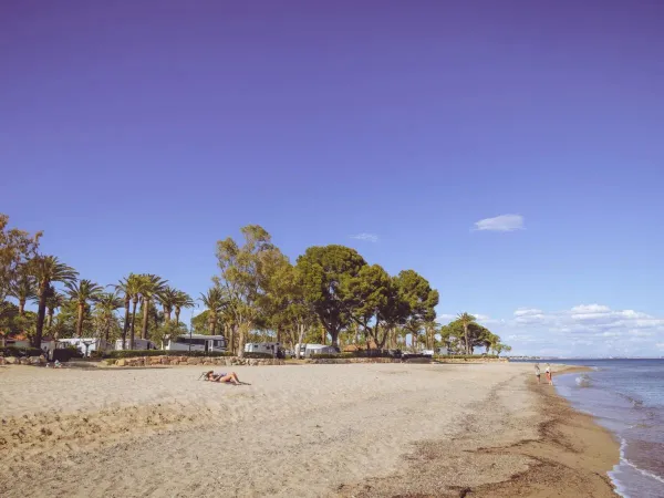 Spiaggia sabbiosa del campeggio Roan Playa Montroig.