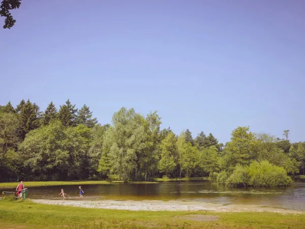 Il lago del campeggio Roan ' t Veld.
