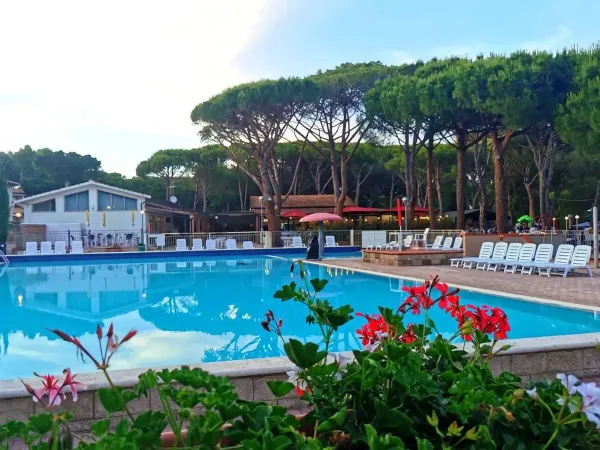 Piscina con lettini al Roan camping Del Forte.