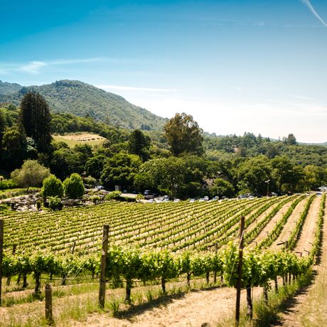 I nostri campeggi famigliari in Francia